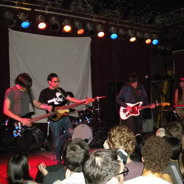 The Pains of Being Pure at Heart