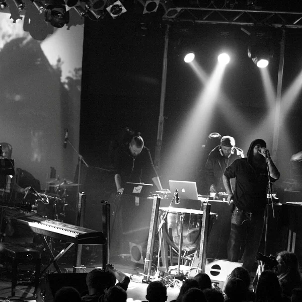 Ulver