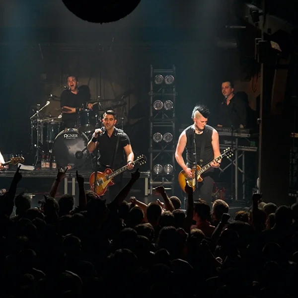 Broilers