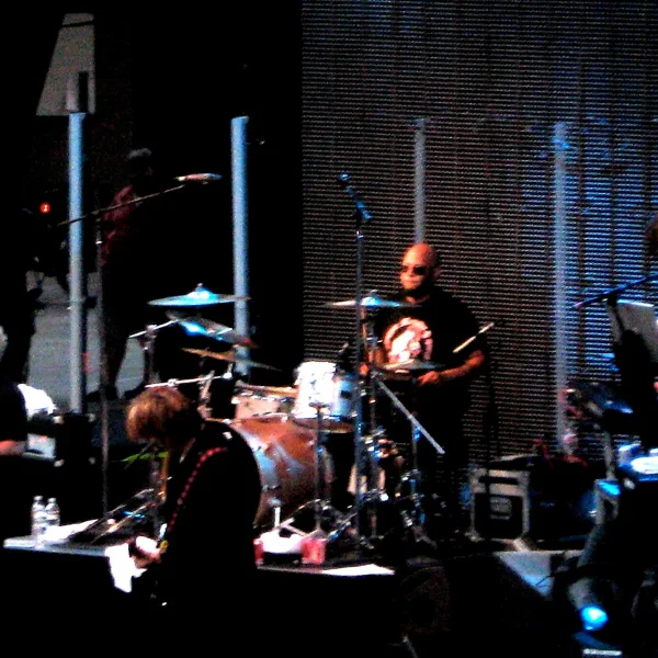 The Psychedelic Furs