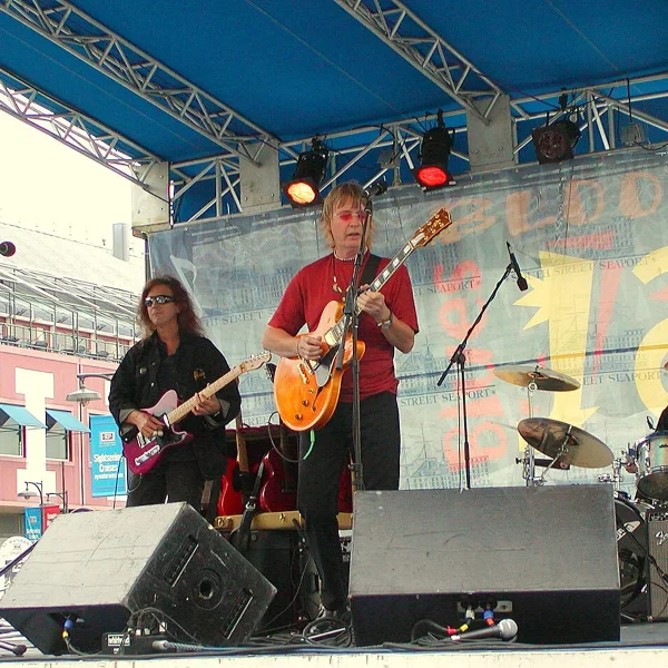 Savoy Brown