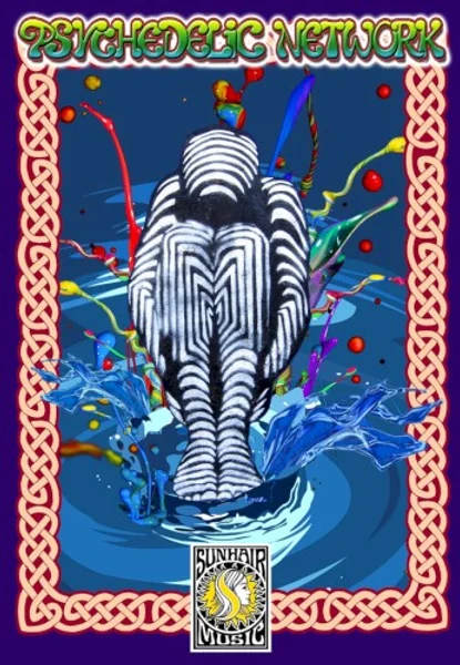 Psychedelic Network Festival 2024 — Poster