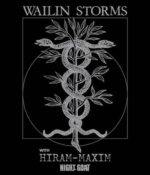 Wailin Storms — 2023 Summer Tour — Poster