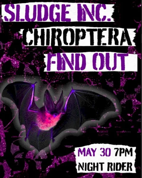 Chiroptera — Poster
