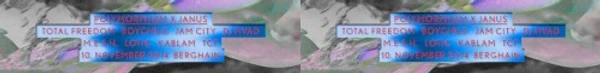 TCF, HVAD + 6 more — Polymorphism x Janus — Banner