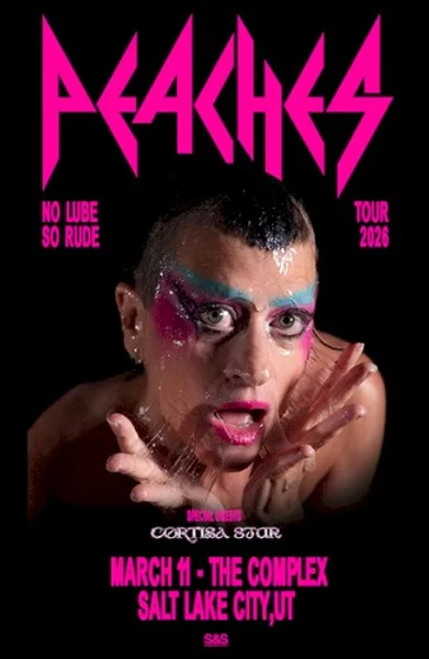 Peaches — No Lube So Rude Tour — Poster