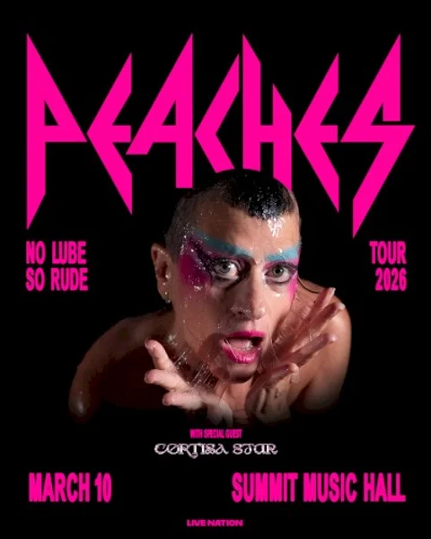 Peaches — No Lube So Rude Tour — Poster