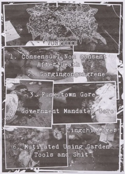 Post Natal Abortion, Soul Stroke + 7 más — Waste Fest 2025 — Setlist