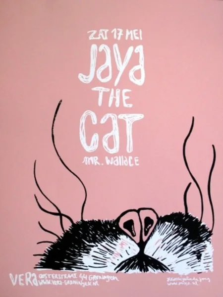 Jaya the Cat at VERA