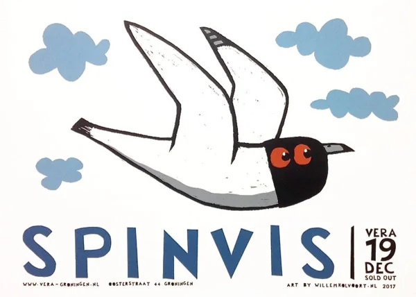 Spinvis at VERA