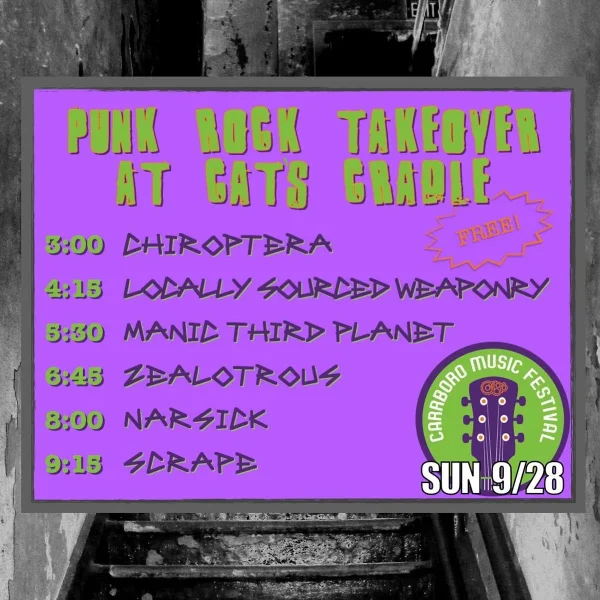 Punk Rock Takeover at Cat's Cradle