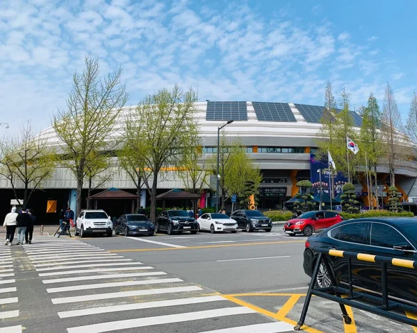 잠실체육관
